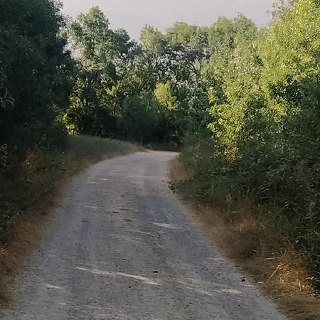 Casa "El Villar" Matabuena Εξωτερικό φωτογραφία
