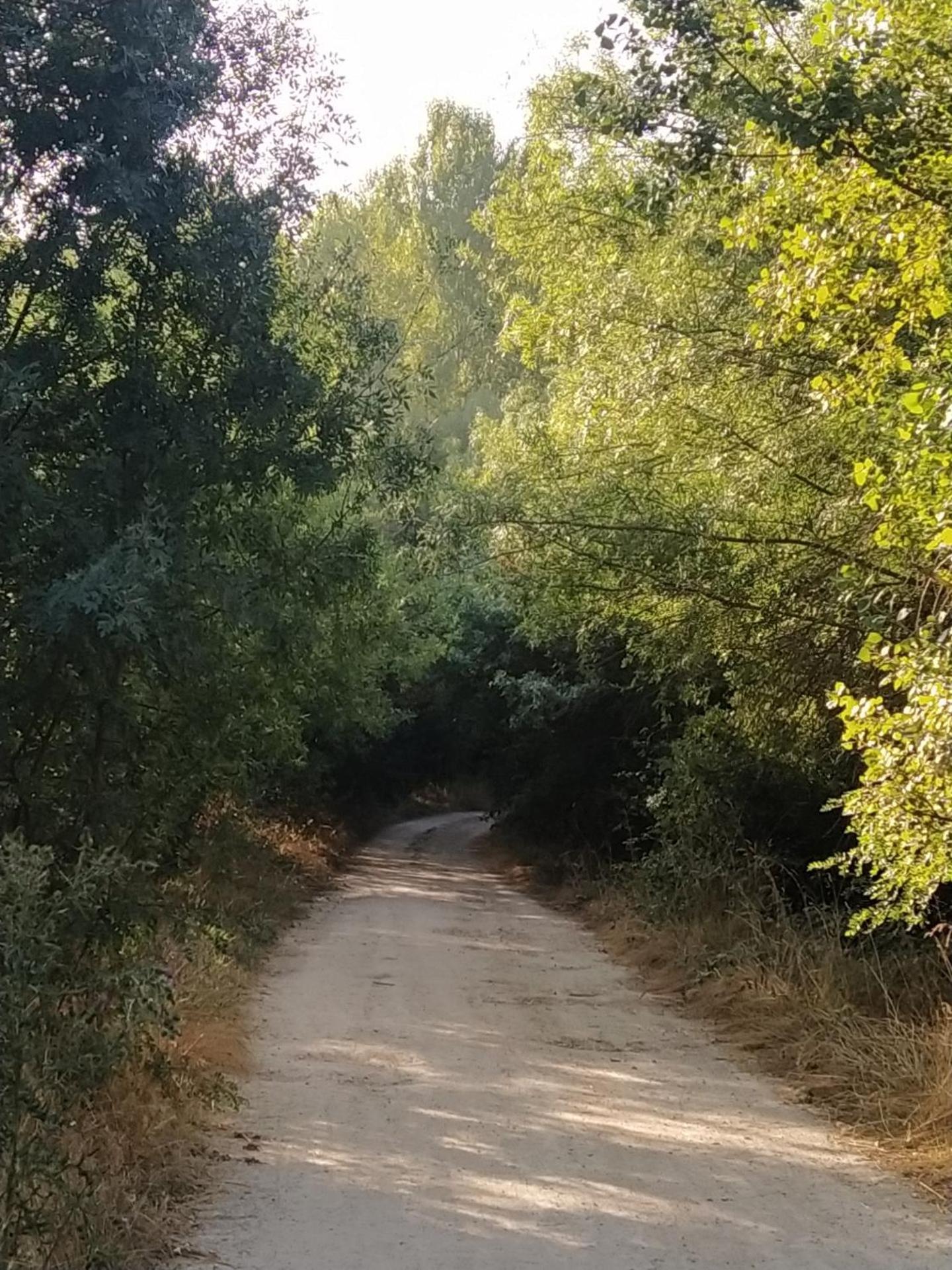 Casa "El Villar" Matabuena Εξωτερικό φωτογραφία